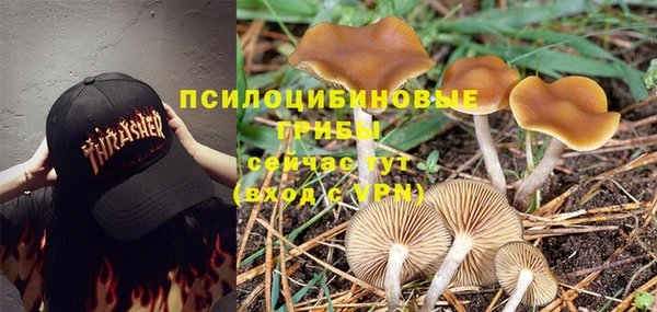 СК Бронницы
