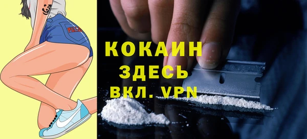 СК Бронницы