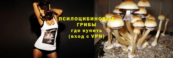 a pvp Бугульма