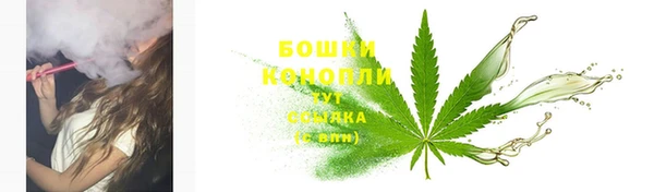 MESCALINE Бородино