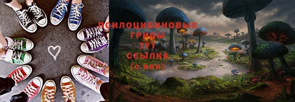 a pvp Бугульма