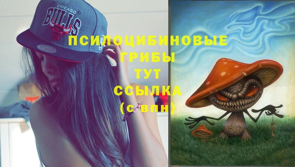 MESCALINE Бородино