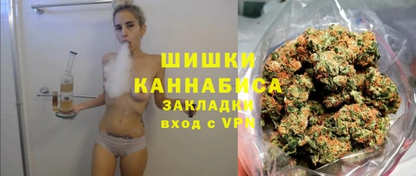 СК Бронницы