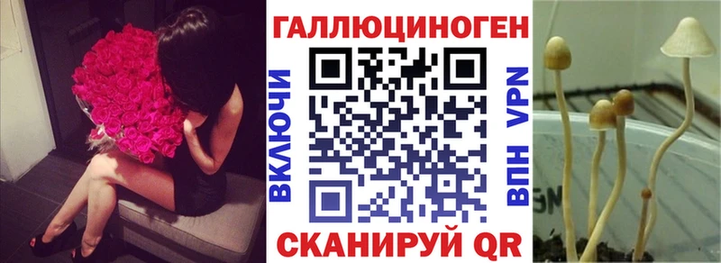 Псилоцибиновые грибы MAGIC MUSHROOMS  Купить где  Копейск 